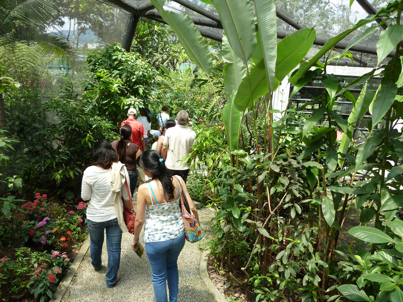 medellin-women-54